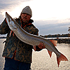Spotted Muskellunge