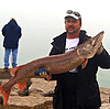 Spotted Muskellunge